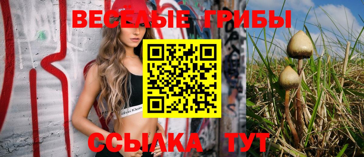 Псилоцибиновые грибы Psilocybe Соликамск